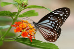 aIMG_7086