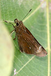aIMG_7103