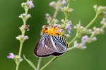 aIMG_9935