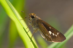 1CRW_9710
