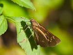 acrw_9355