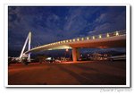 IMG_9108