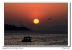 IMG_1315