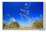 IMG_5020
