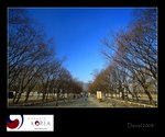 IMG_7674