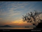 DSC_1222