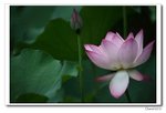 IMG_8047