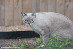 _MG_2416-2