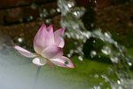 CRW_2399