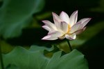 CRW_2401