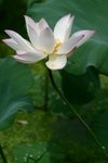 CRW_2437