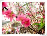 IMG_0749