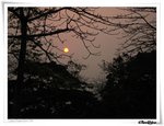IMG_1012