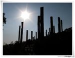IMG_3840