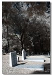 DSC_6042_nEO_IMG