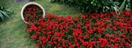 16_Xpan II_45 F4_RDP III