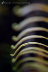 041022_14_�F���}