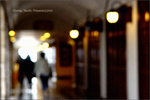 2005013003
