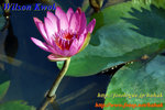 PICT0039
