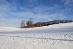 D23_5632a