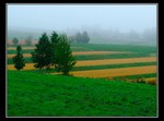 DSCF50732a