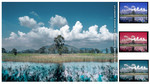 answ023