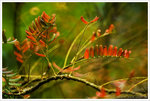 sPICT0544