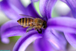 sDSC_4562