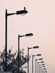 ssP1050718