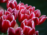 00P2234927