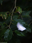 00P2234803