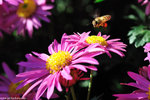 00DSC_1776