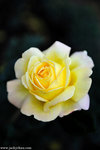 00DSC_4362