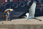 00DSC_5382