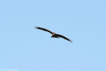 00DSC_6298