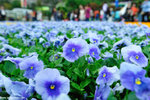 00DSC_8861