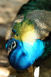 00DSC_8988