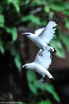 00DSC_2561