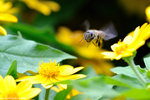 00DSC_2354