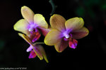 00DSC_7275