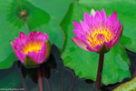 00DSC_8977