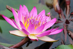 00DSC_0223