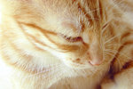 DSCN2771