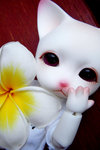 DSCN0384