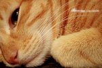 DSCN6516拷貝