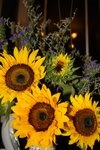 IMG_5805