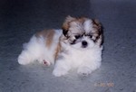 File0290