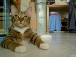 PICT0081