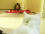 PICT0002