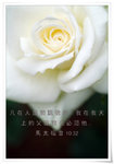 DSCF1338